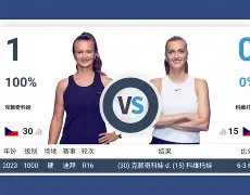 开元体育官方网站-从里程碑夜孟菲斯灰熊回应争议到科维托娃关键节点爆冷，今夜夏洛特黄蜂单刀错失的简单介绍